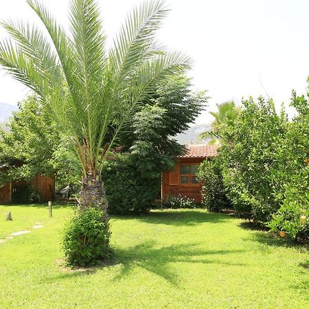 Bed and Breakfast Tunays Pansiyon Чирали Экстерьер фото