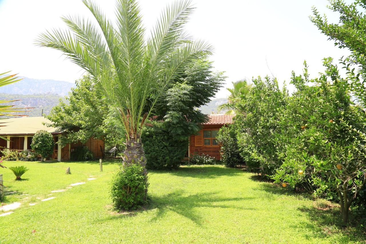 Bed and Breakfast Tunays Pansiyon Чирали Экстерьер фото