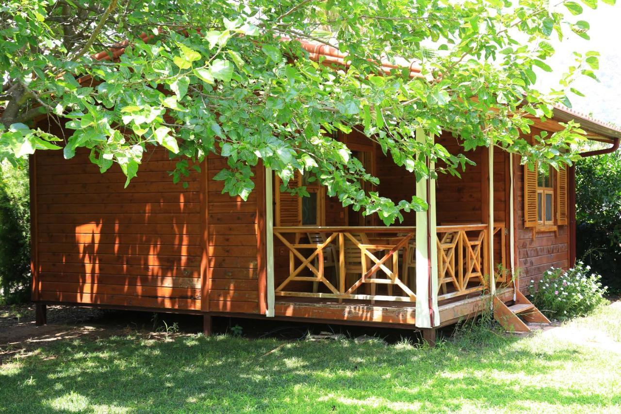 Bed and Breakfast Tunays Pansiyon Чирали Номер фото