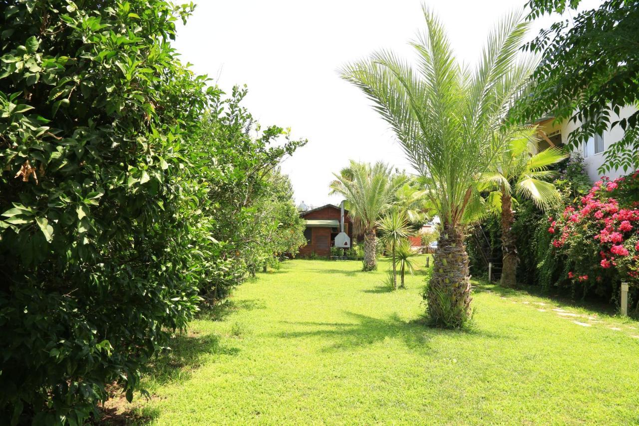 Bed and Breakfast Tunays Pansiyon Чирали Номер фото