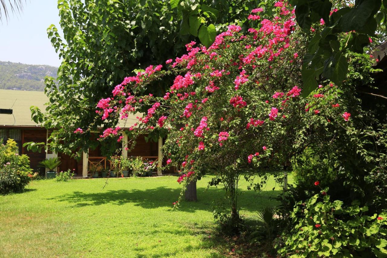 Bed and Breakfast Tunays Pansiyon Чирали Экстерьер фото